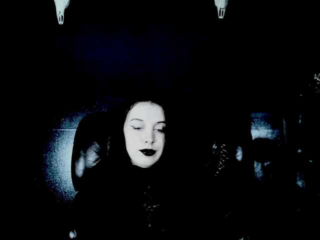 theDahlia
