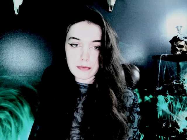 theDahlia