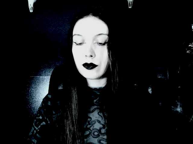 MissToxic live cam on BongaCams