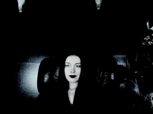 TheDominatrix