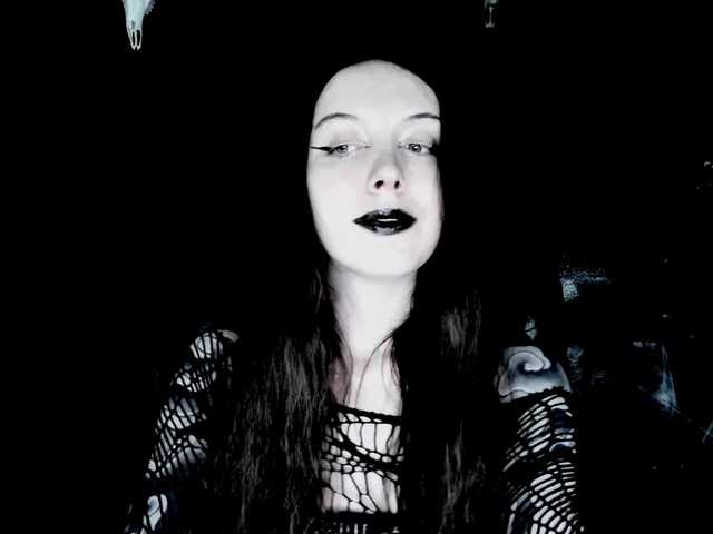 TheDominatrix