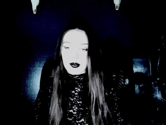 theDahlia