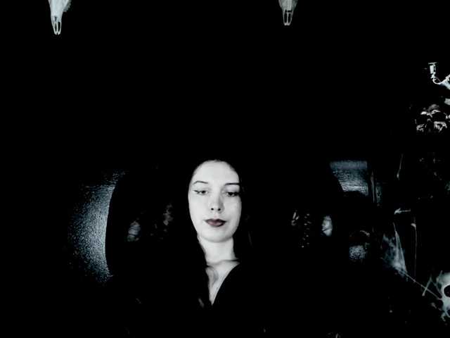 TheDominatrix