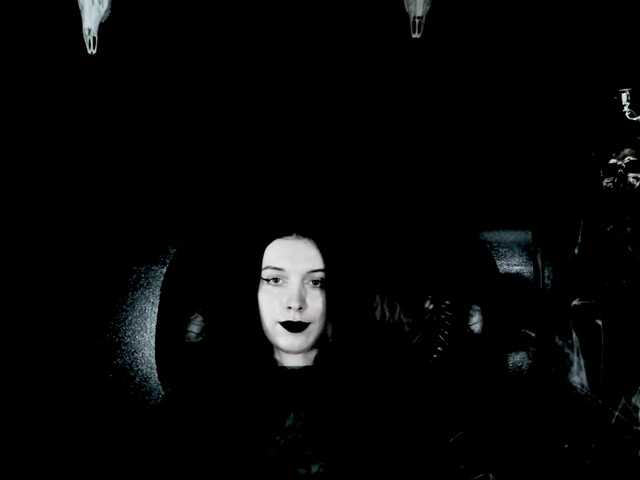 TheDominatrix
