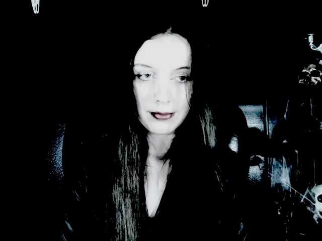TheDominatrix