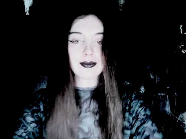 TheDominatrix