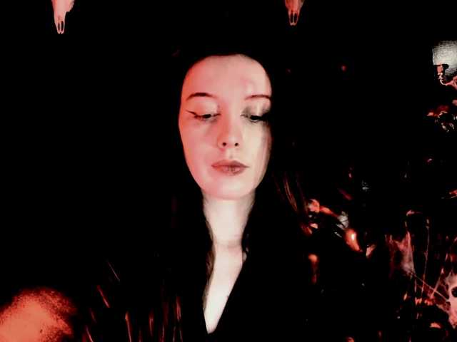 TheDominatrix