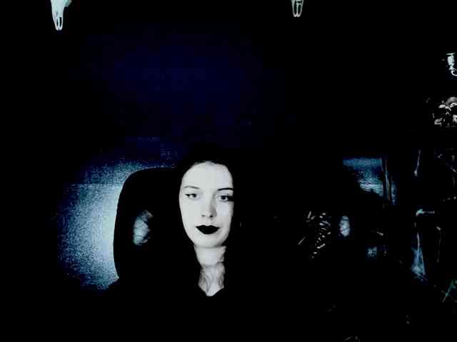 theDahlia webcam