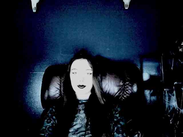 theDahlia webcam