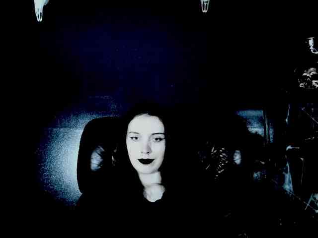 theDahlia webcam