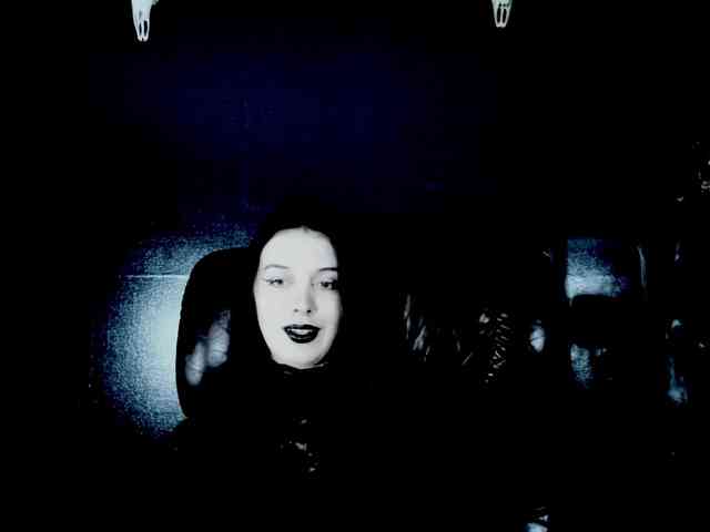 theDahlia webcam