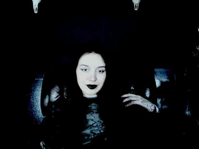 theDahlia webcam