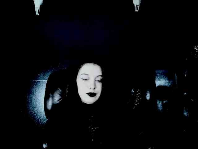 theDahlia webcam
