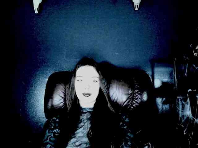theDahlia webcam