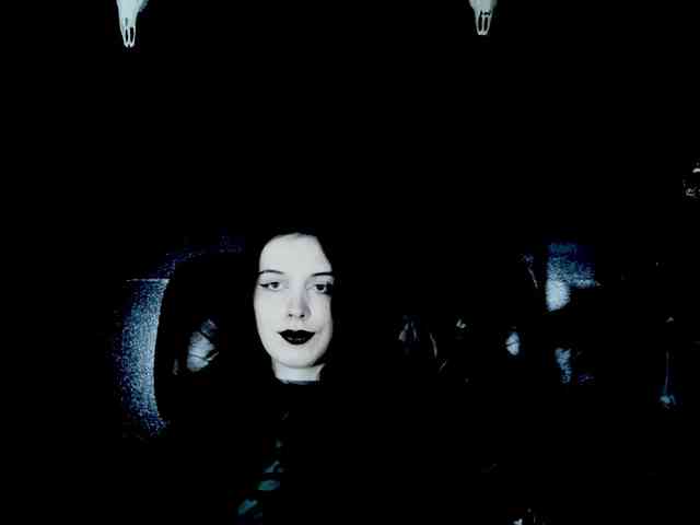 theDahlia webcam