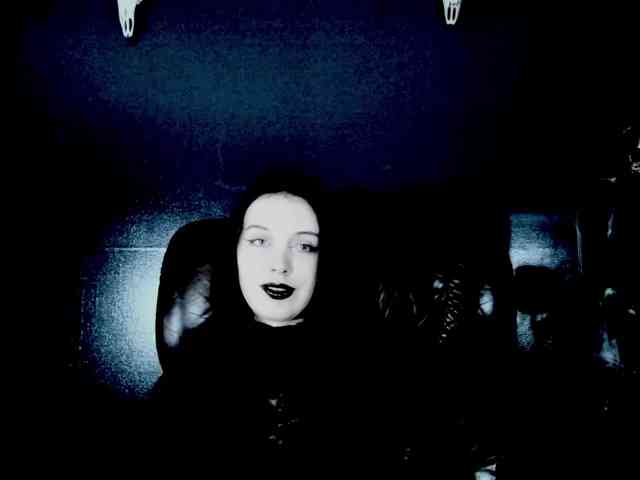 theDahlia webcam