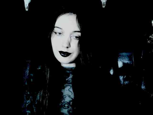 theDahlia webcam