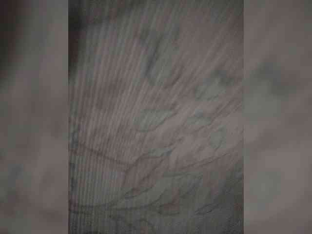 LeraLips webcam