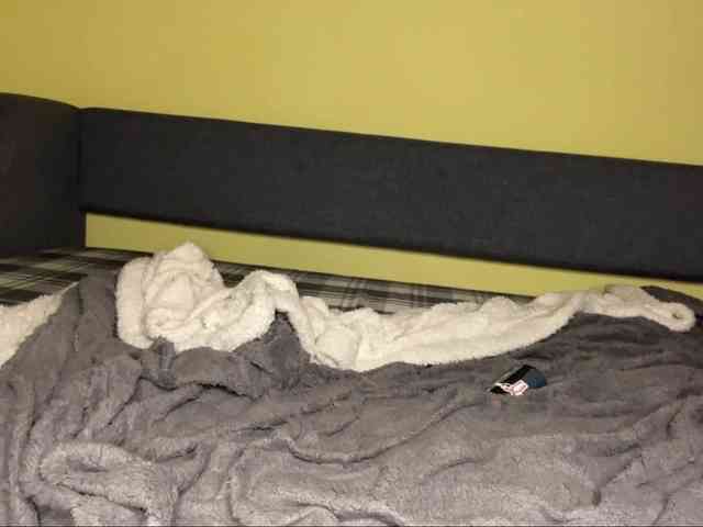 SidneyS webcam