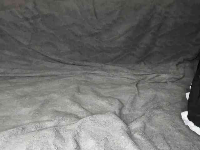 SidneyS webcam