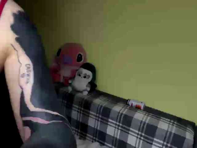 SidneyS webcam