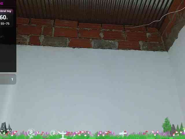 Angelamontes webcam