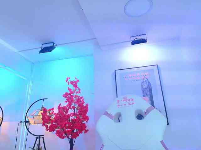 Lila-monroe webcam