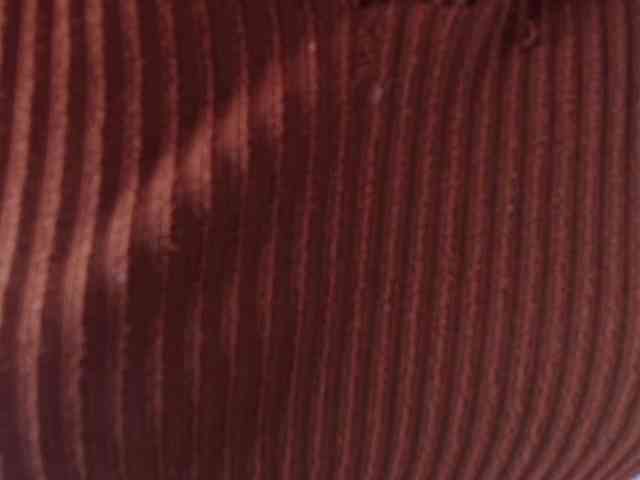 Lila-monroe webcam