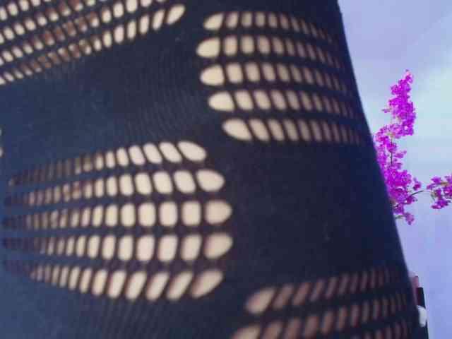 Lila-monroe webcam
