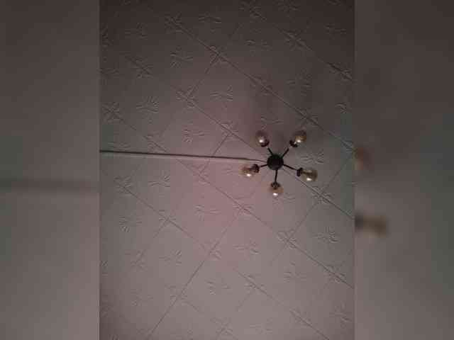 Malishonok Sex Cam Show