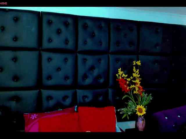 Clloelombaard webcam