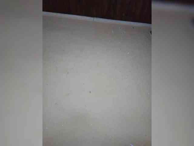 Victoria33 webcam