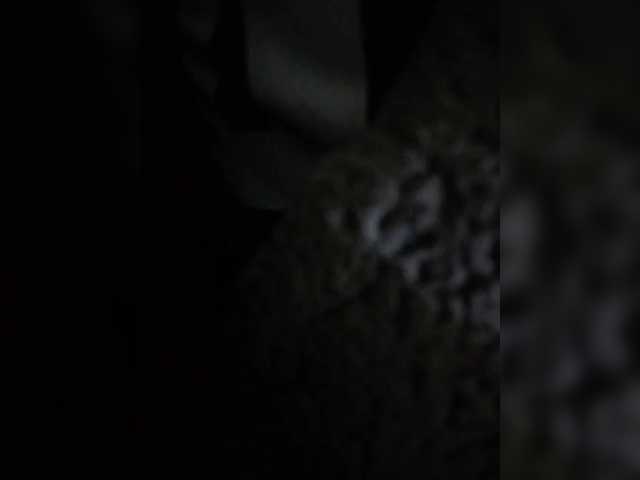 dorothykemunto's BongaCams show and profile