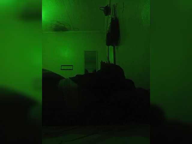 dorothykemunto's BongaCams show and profile