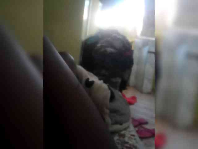 lushlila webcam