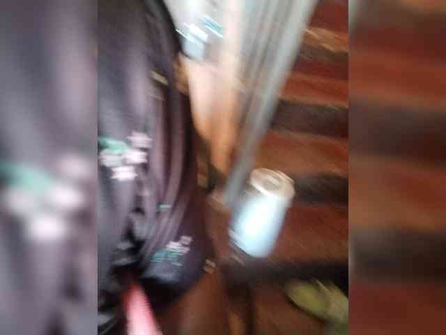 lushlila webcam