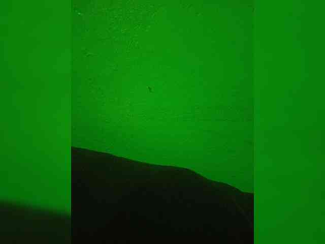 lushlila webcam