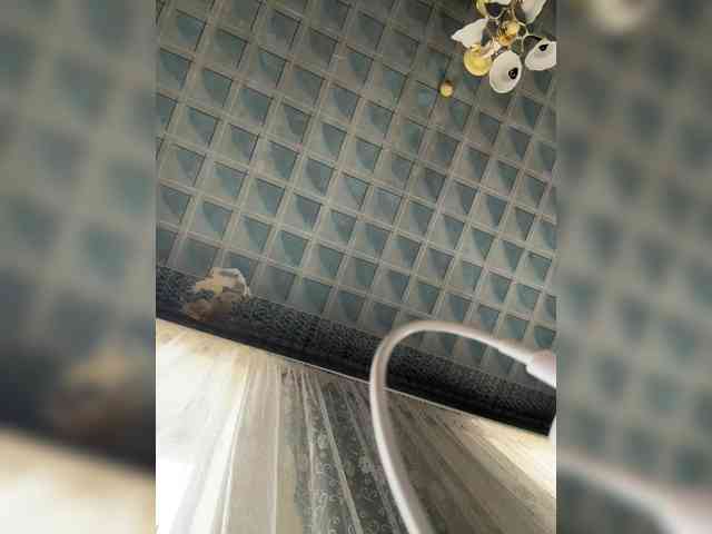 Live stream of ALEX672