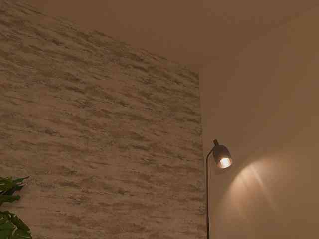 Julie-Belle webcam
