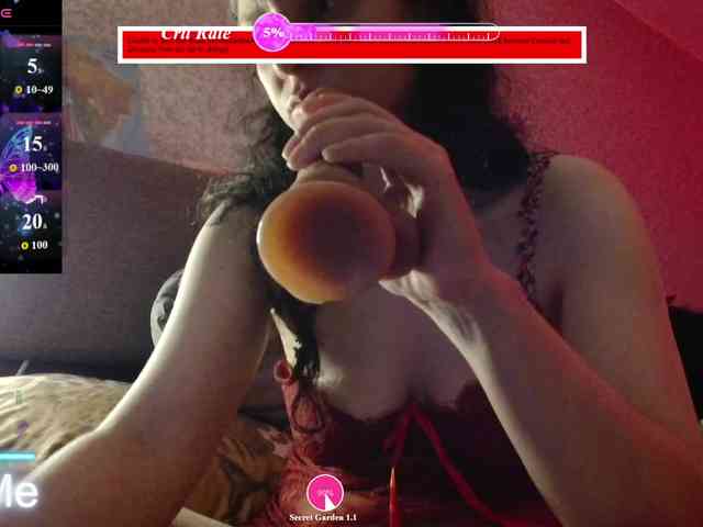 Ophyrix webcam