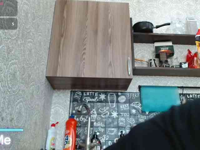 Ophyrix webcam
