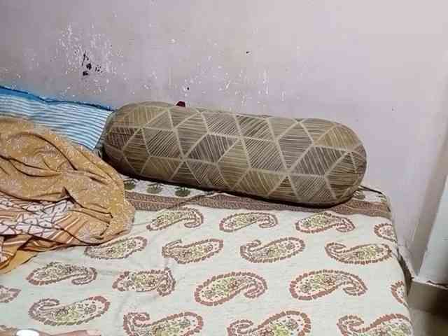 TaraVij webcam