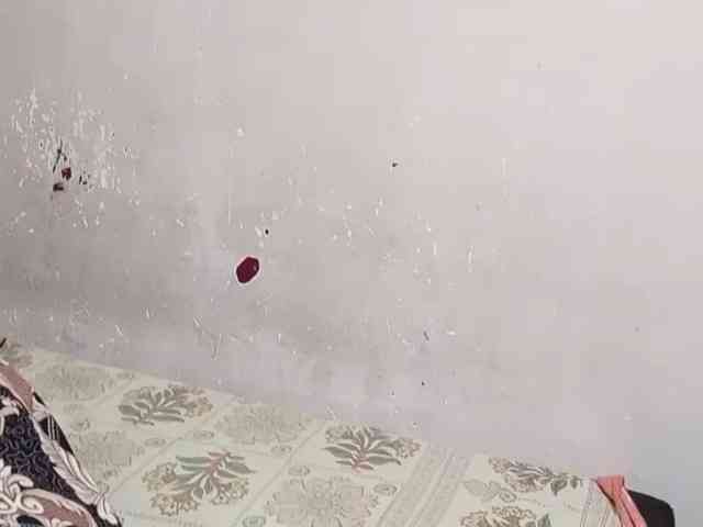 TaraVij webcam