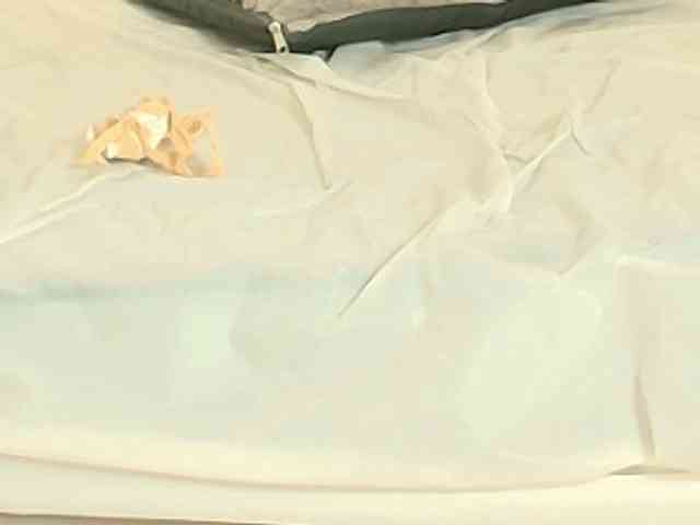 kassandraBrown webcam