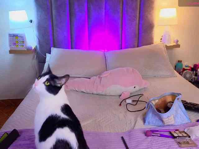 VictoriaHils webcam