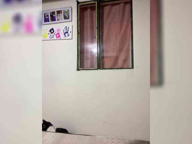 VictoriaHils webcam