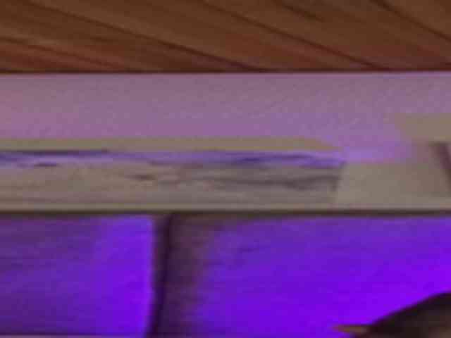 VictoriaHils webcam