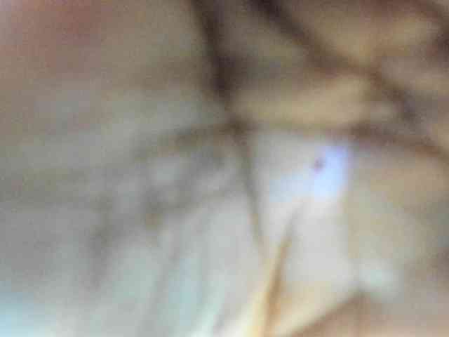 ValeriaGil