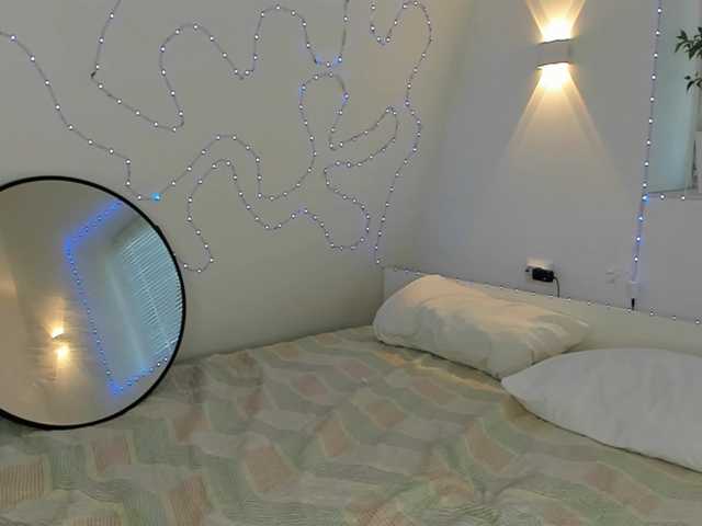 Preview of vannibellee