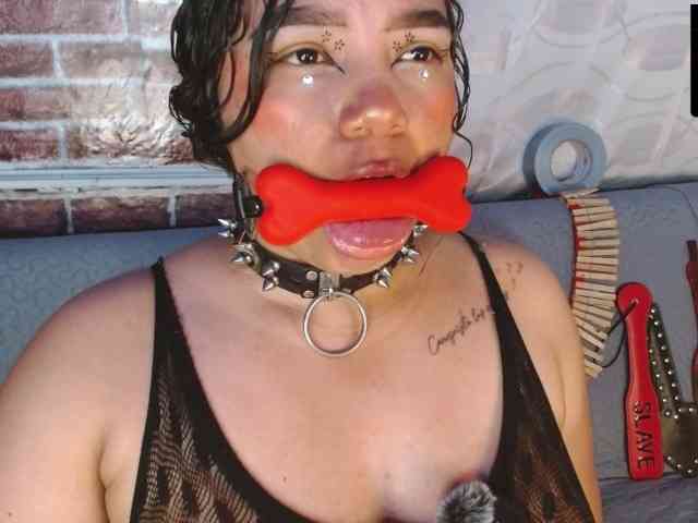 Model: Leidy12